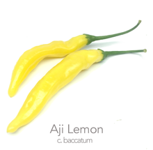 Load image into Gallery viewer, Lemon drop_TAX